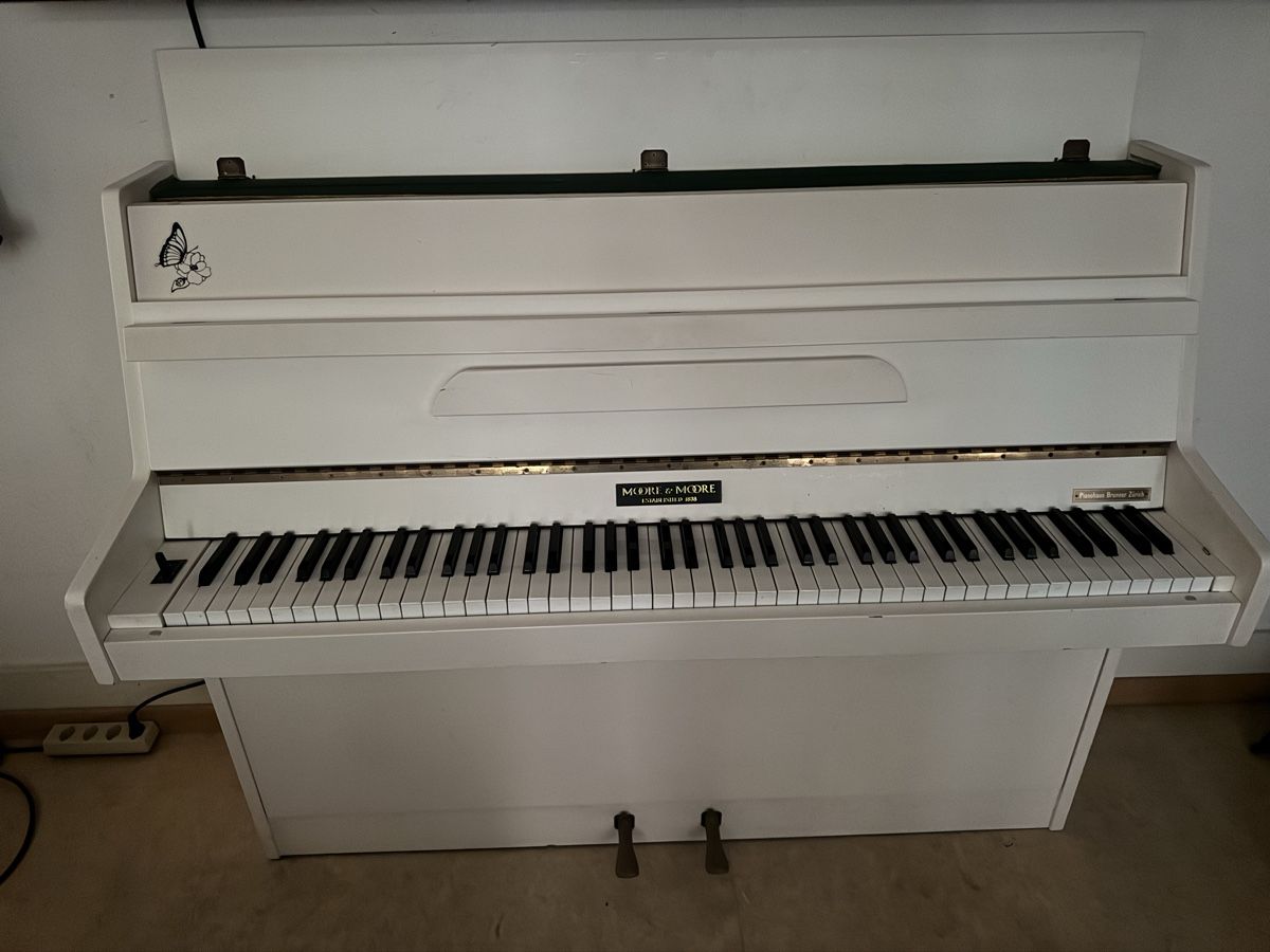 Mooer Instruments de musique: Klavier Moore&Moore – D'occasion à Zürich par cch_r6xd 2
