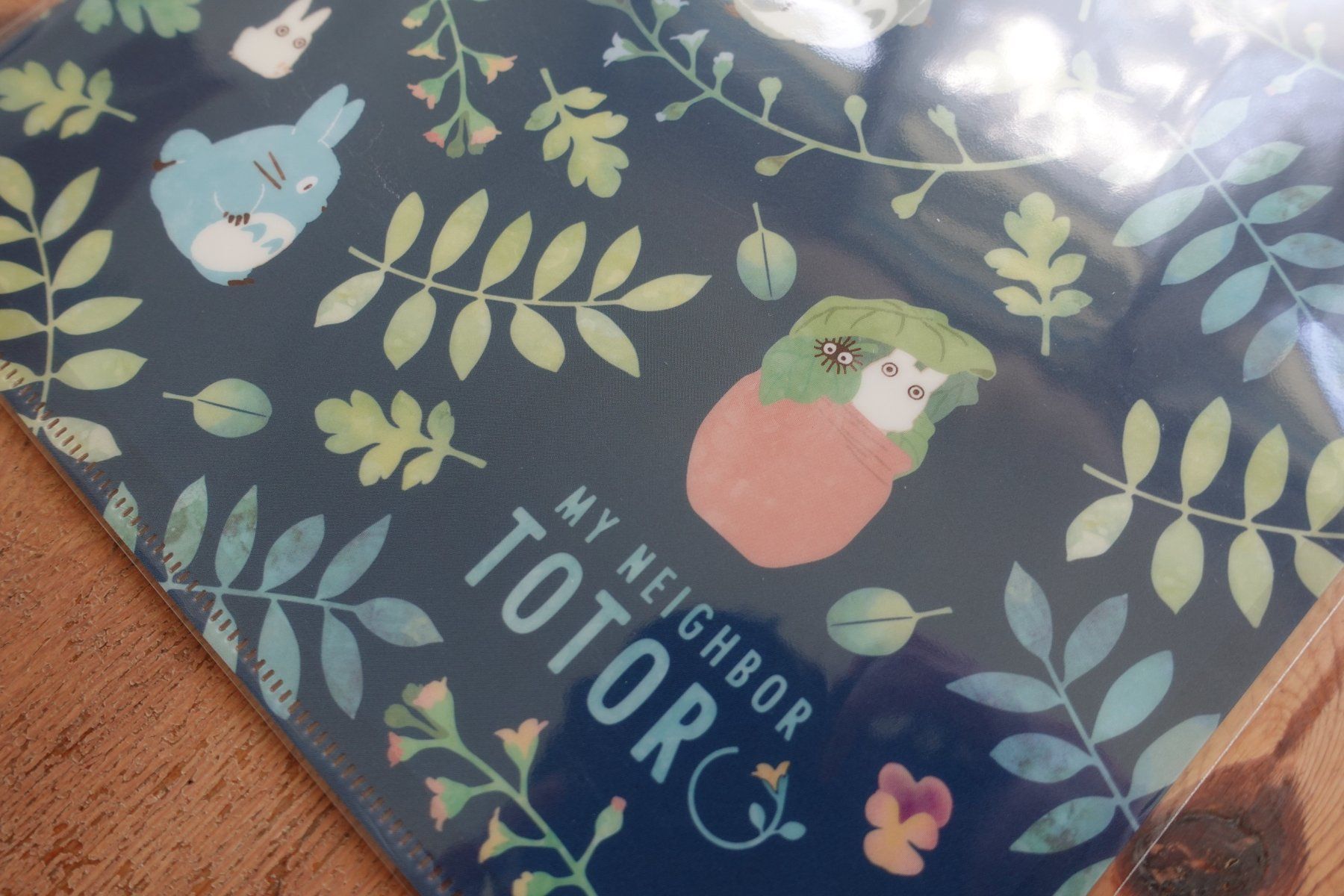 Valigie & Borse: Ghibli Totoro - Clear File Mäppli – Nuovo (secondo la descrizione) da Ettiswil venduto da maimaiswiss 2