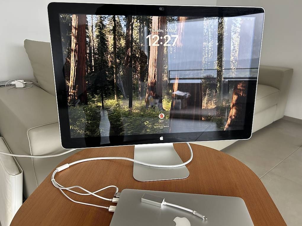Apple Monitor: Apple Cinema Display 24 zoll mit USB-C adapter – Usato da Horgen venduto da newtonguy