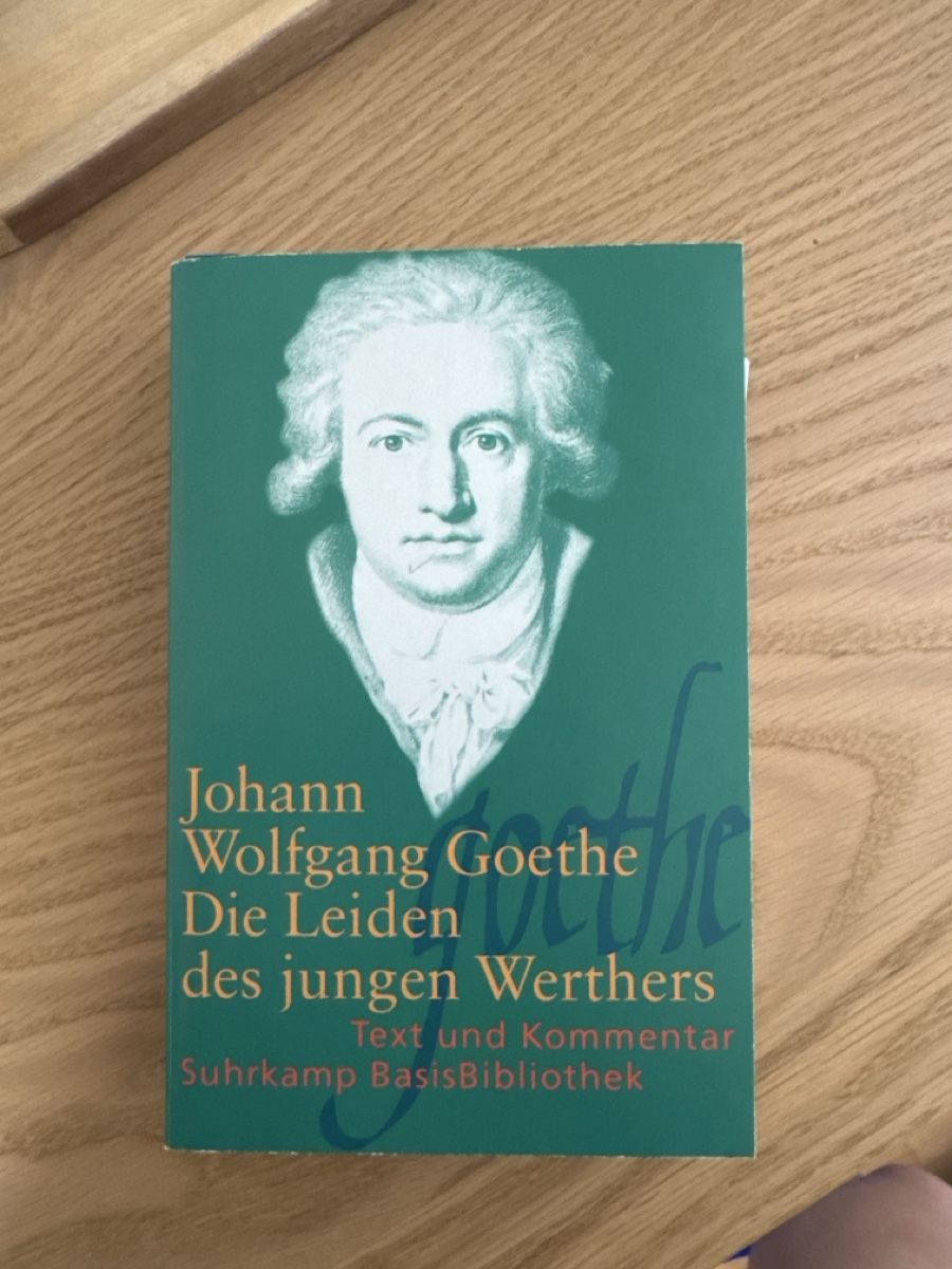 Libri: Die Leiden des jungen Werthers-Goethe – Usato da Netstal venduto da rab_bn2n