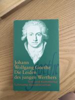 Die Leiden des jungen Werthers-Goethe