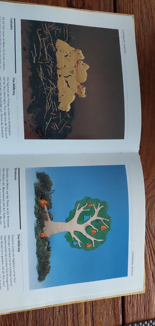 Libri: Bastelbuch – Nuovo (secondo la descrizione) da Lyss venduto da Hopsi1 3