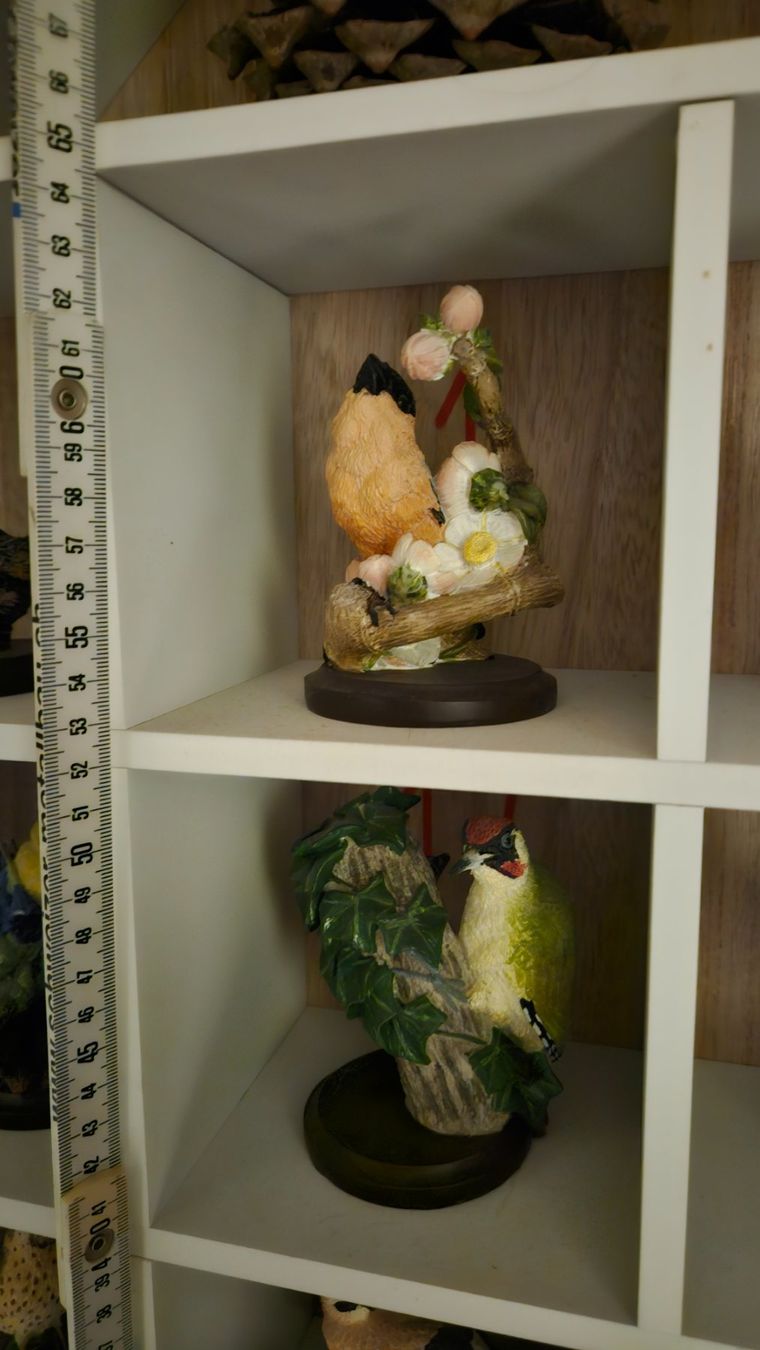 Calendari: Adventskalender mit wunderschönen Vogelfiguren – Usato da Finsterwald LU venduto da zabryna 2