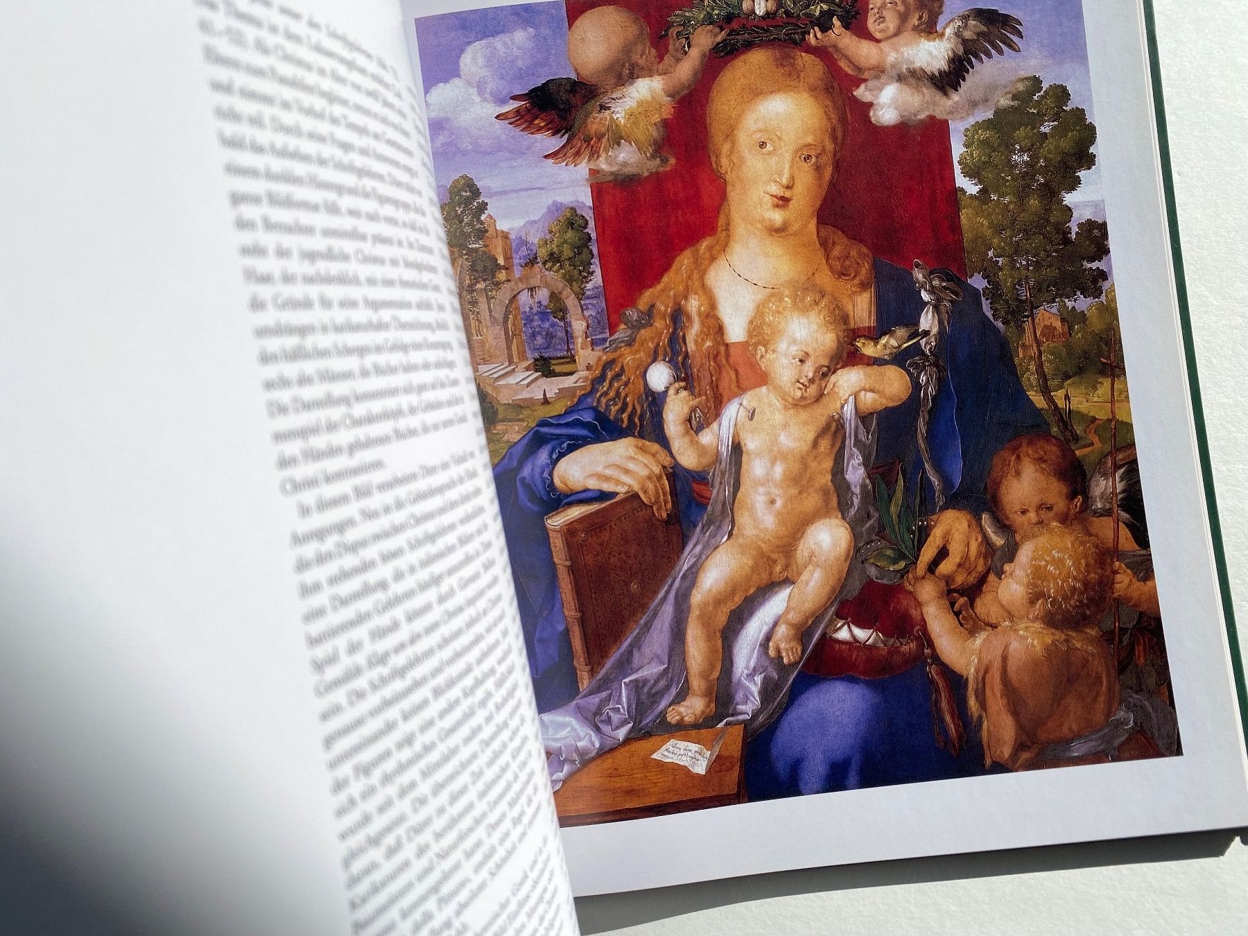 Bücher: Albrecht Dürer - Meister der deutschen Kunst Buch – Gebraucht aus Zürich von lesgarcons 3