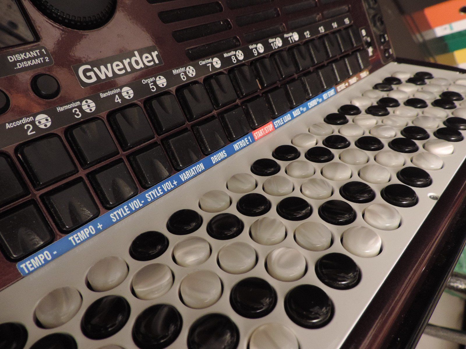 Strumenti musicali: Gwerder Digital Akkordeon DA7 – Usato da Hünenberg venduto da GIRO15 5