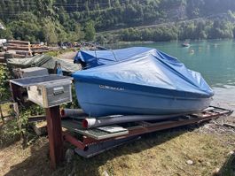 Motorboot 8PS Brienzersee