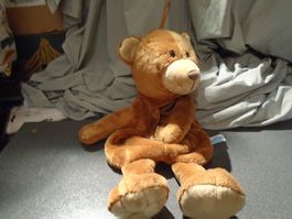 Teddy / Bär braun, Aufdruck, hinten Reissverschluss