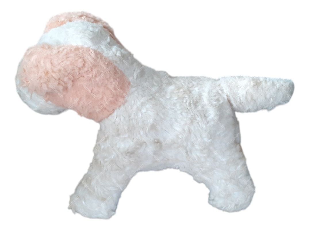 Giocattoli: Antikes Plüschtier Hund – Usato da Mörschwil venduto da lindaswunderkiste 6