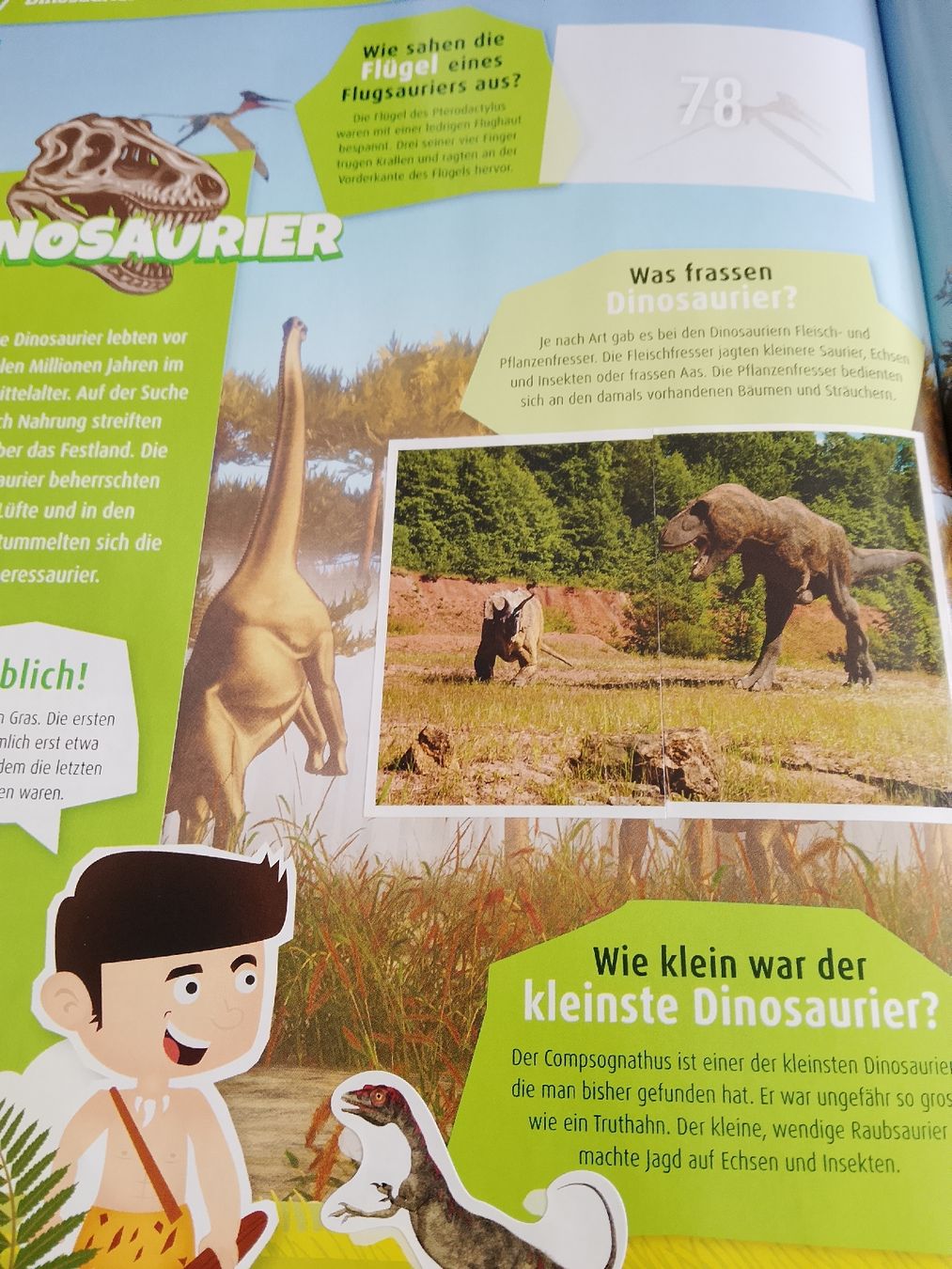 Libri: Welt des Wissens – Usato da Volken venduto da katz5 2
