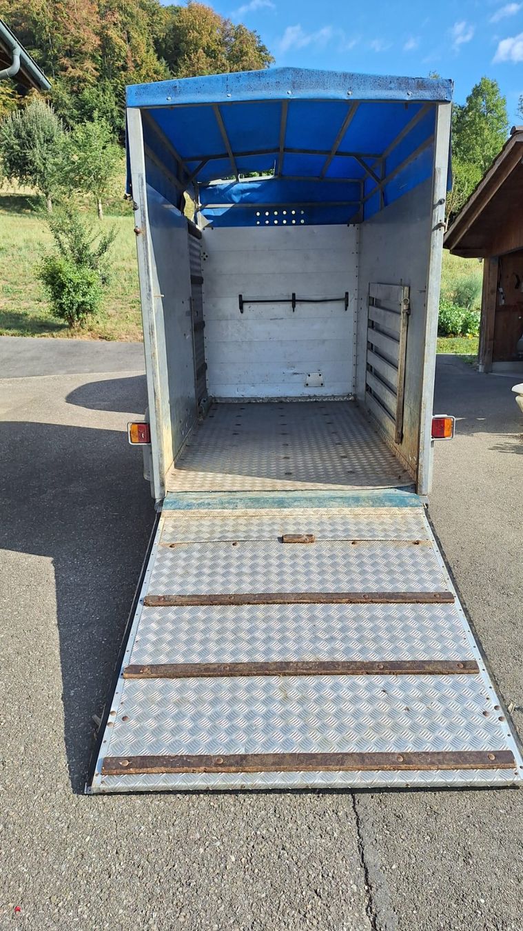 Daltec Anhänger: Viehtransporter – Gebraucht aus Gettnau von chochibleck 2