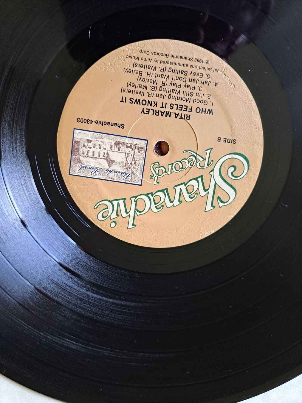 Dischi in vinile: Rita Marley Who Feels It Knows It, LP Reggae 1982 – Usato da Zuerich venduto da Mocambo19 5