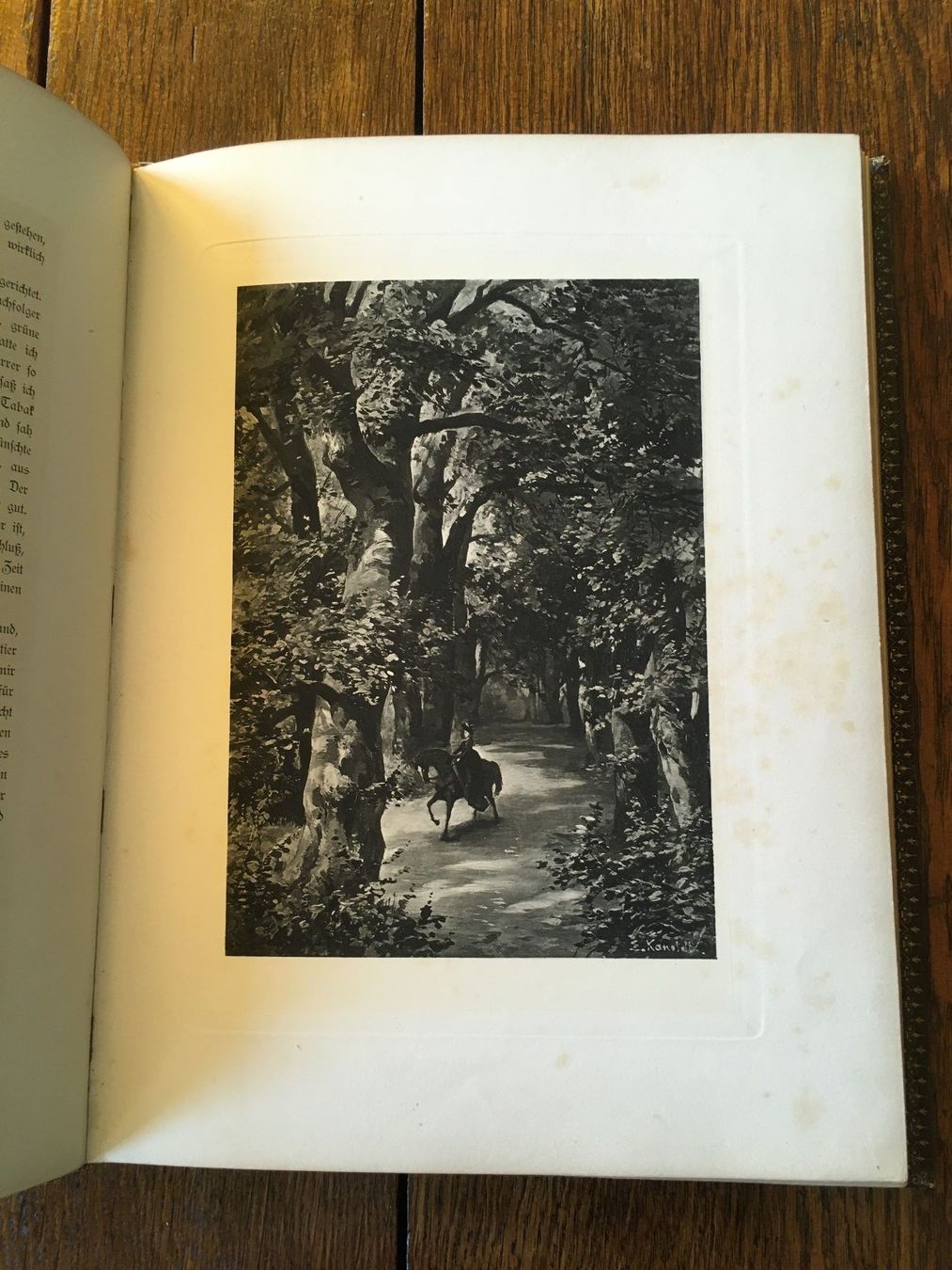 Libri: Aus dem Leben eines Taugenichts – Usato da Basel venduto da Peter_schlemihl 3