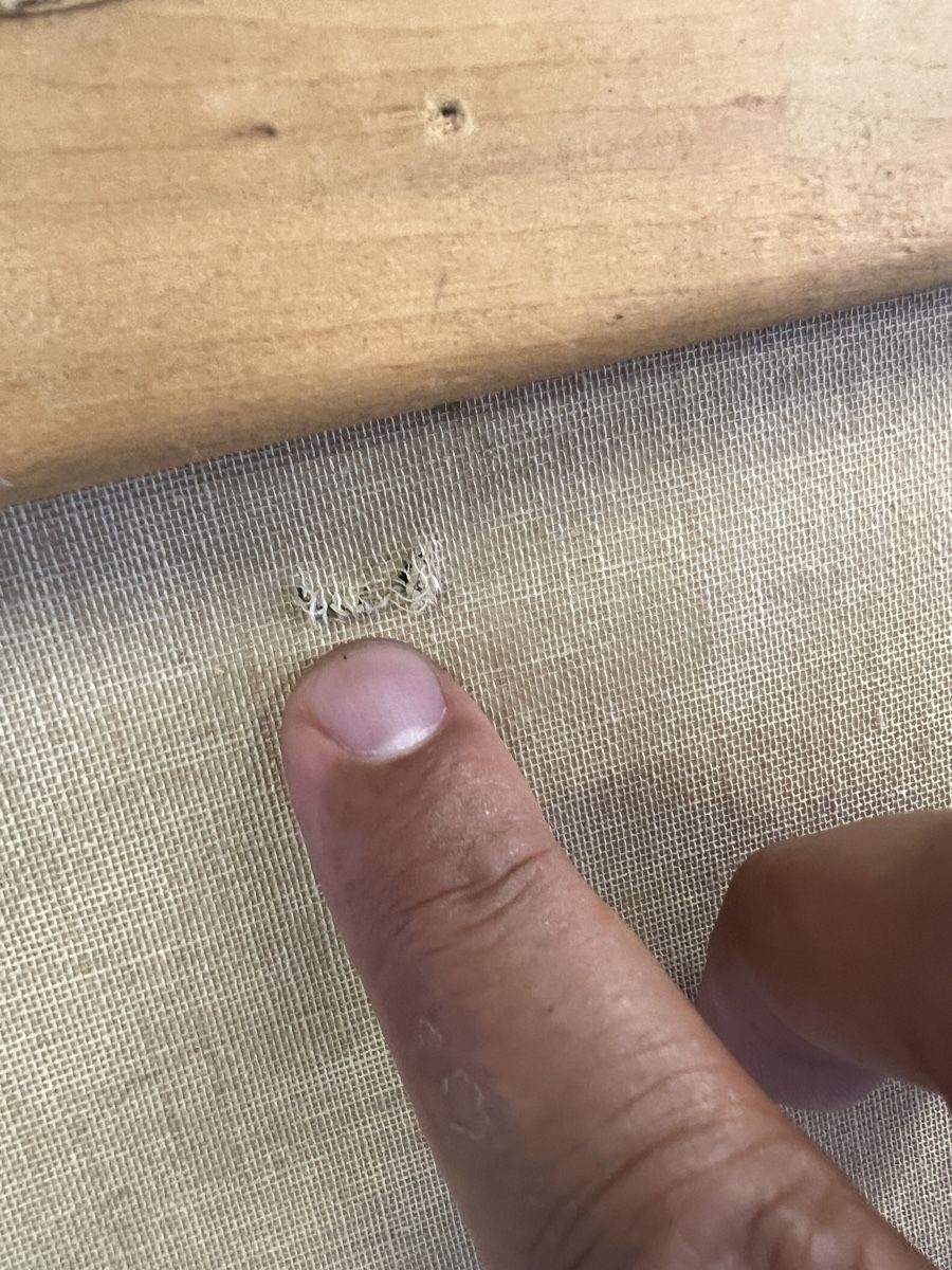 Dipinti: HUILE SUR TOILE SIGNÉE – Usato da Genève venduto da Qanil77 7