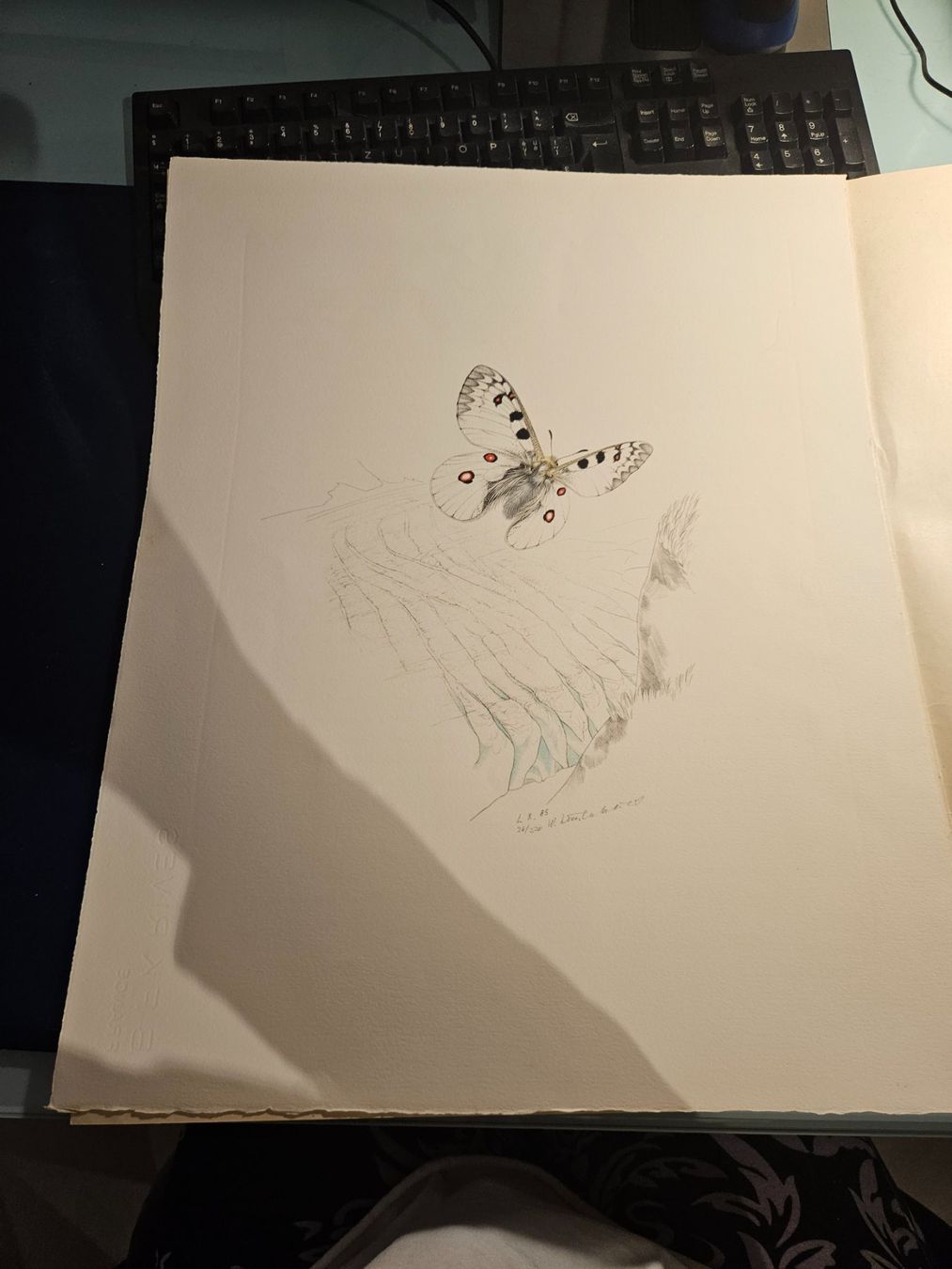 Grafica & Litografie: Original Lithographie Walter Linsenmeier – Usato da Luzern venduto da FamilieCaGi 2