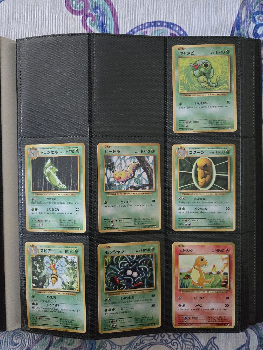 Pokémon Carte collezionabili: Pokemon Expansion Pack CP 6 Evolutions JP Masterset* – Nuovo (secondo la descrizione) da Frenkendorf venduto da Pokemon_Stube 1