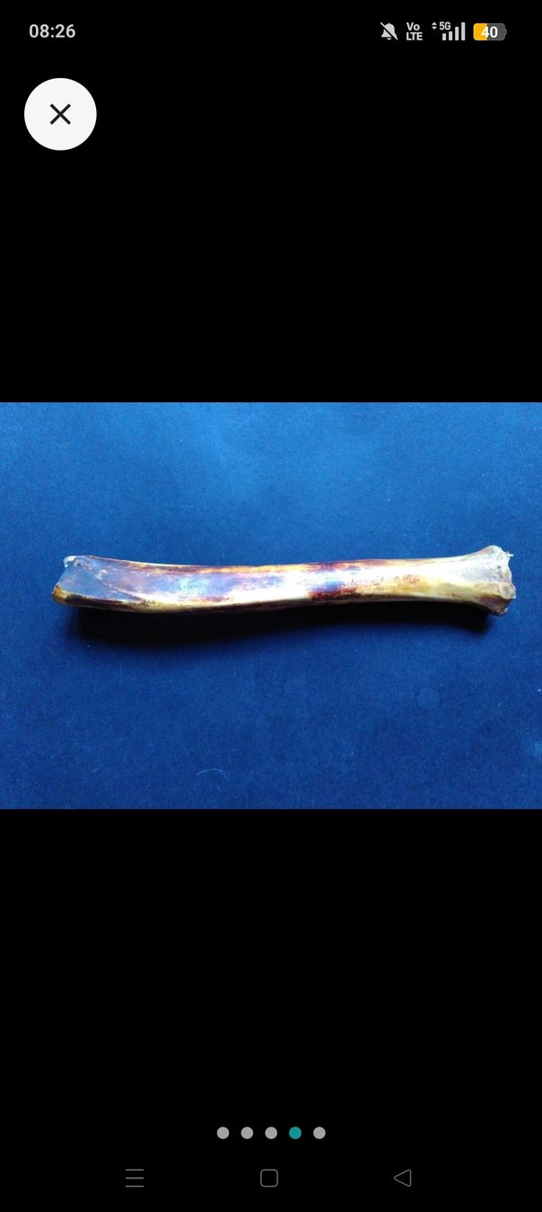 Musikinstrumente: Knochenflöte – Gebraucht aus Buus von rebekkaschraner 3