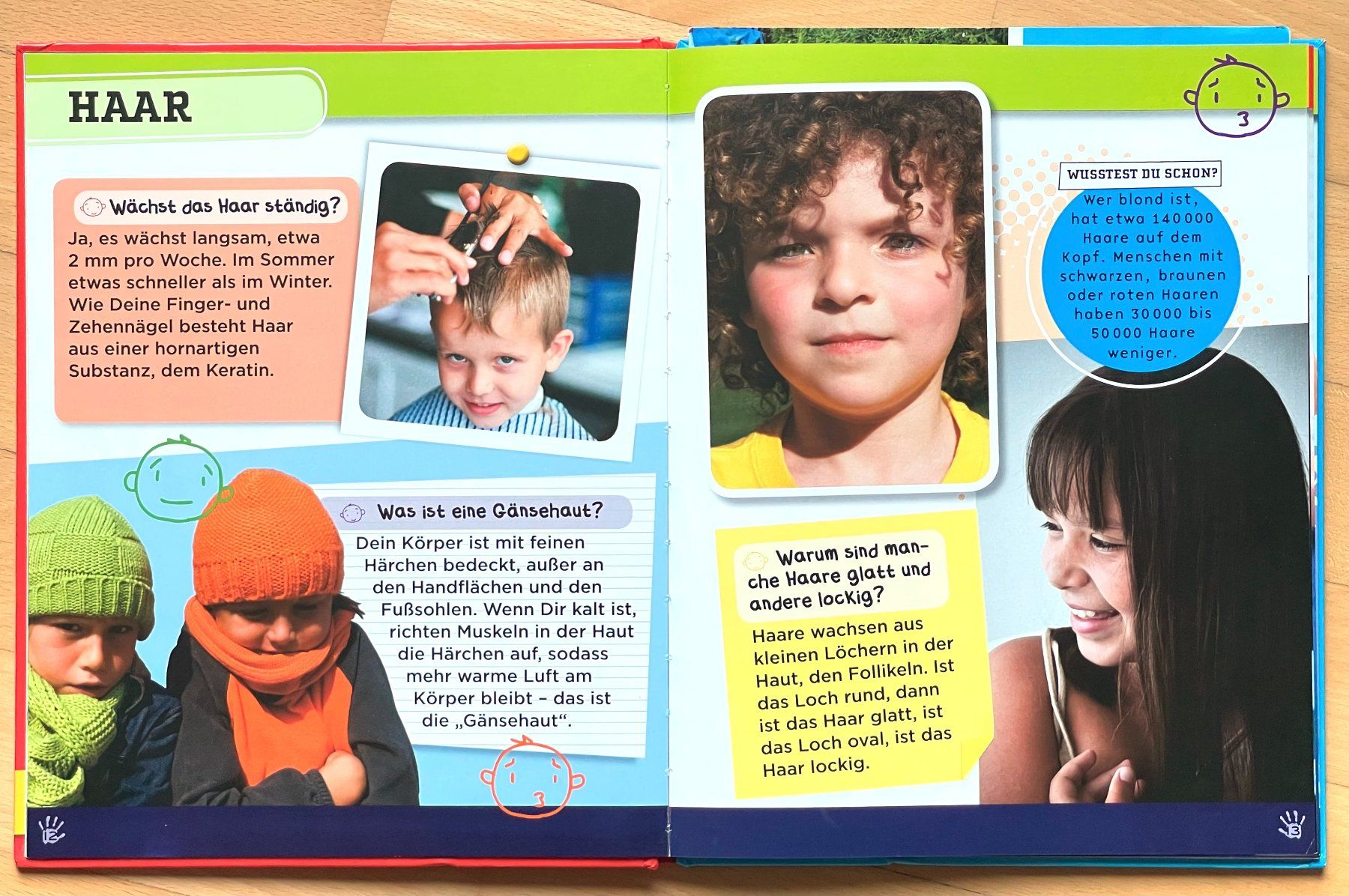 Bücher: Kinderbuch "Warum brauchen wir Knochen" – Gebraucht aus Walchwil von Sharky69 1