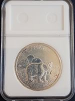 Kanada Silbermünze 1 Unze 2011 Grizzly Bär 5 Dollar