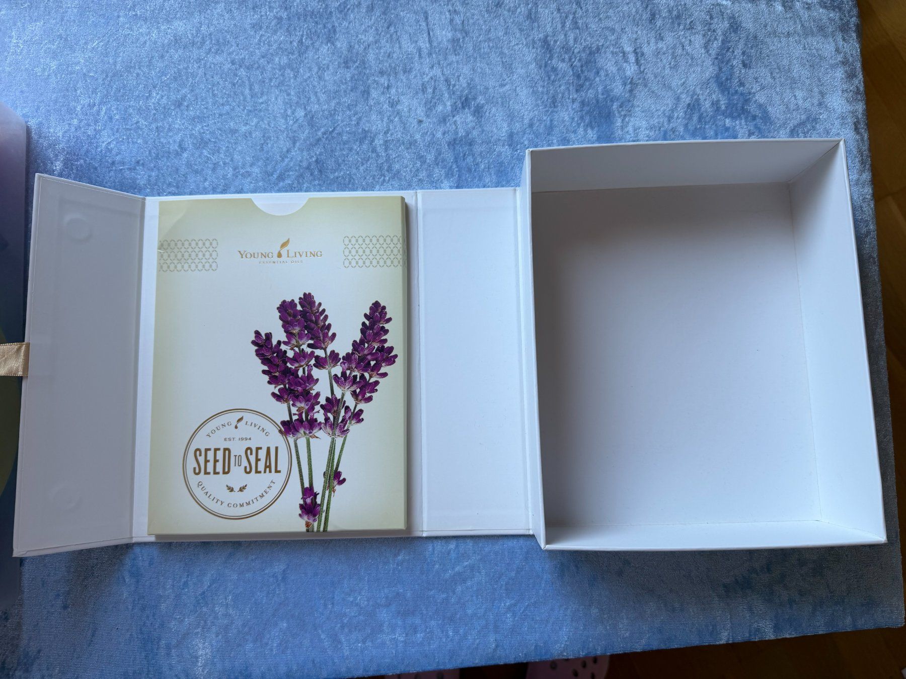 Altro in Decorazioni & Accessori: Verpackung Young Living Seed to Seal Box – Usato da Brunnenthal venduto da Eco07 1