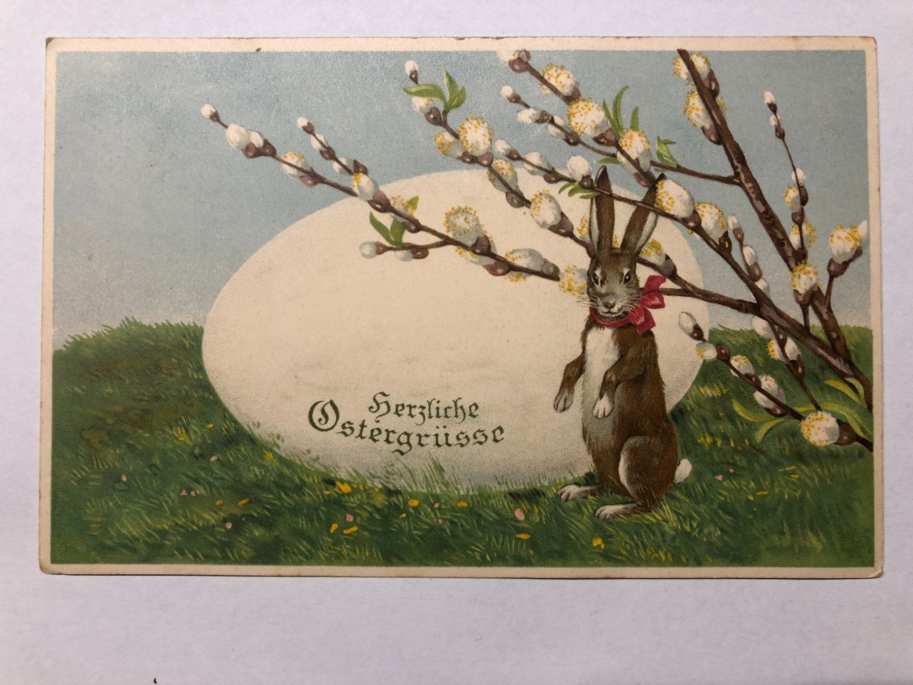 Cartoline postali: Herzliche Ostergrüsse - Hase mit Riesenei – Usato da Pfäffikon ZH venduto da Waltoversand