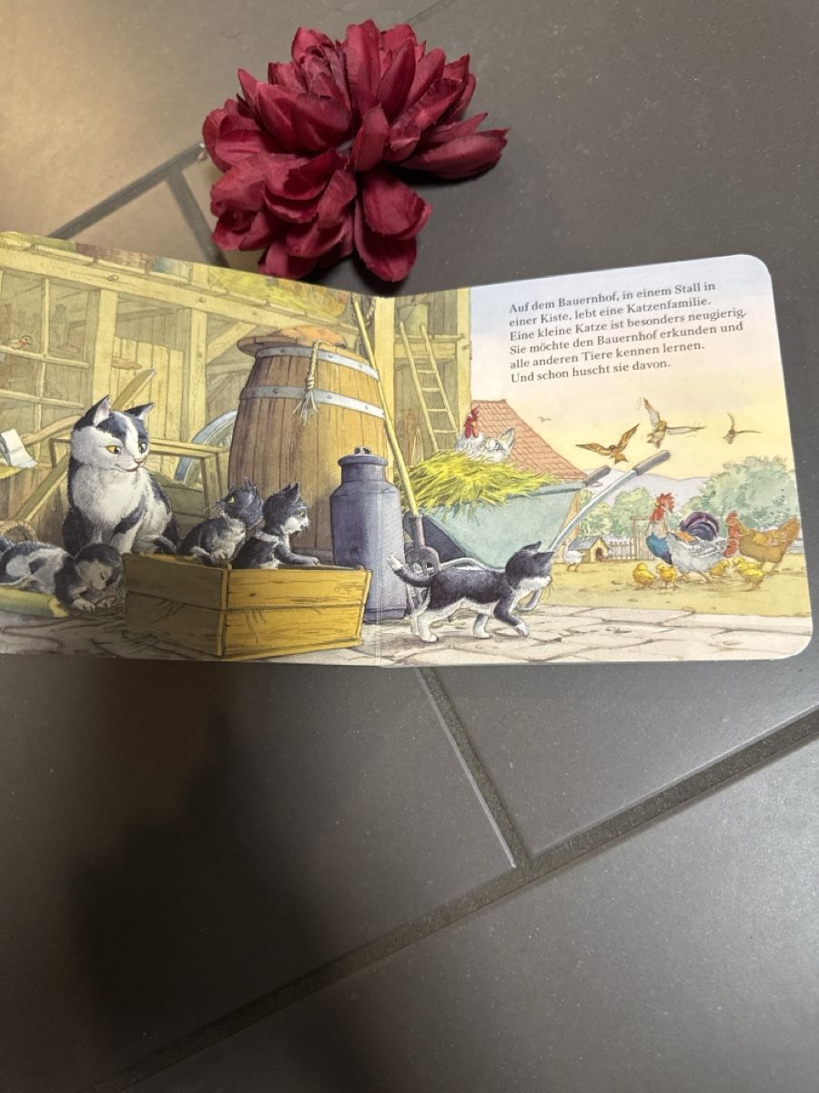 Libri: Was machst du, kleine Katze Kinderbuch – Usato da Zürich venduto da Belisimo 1