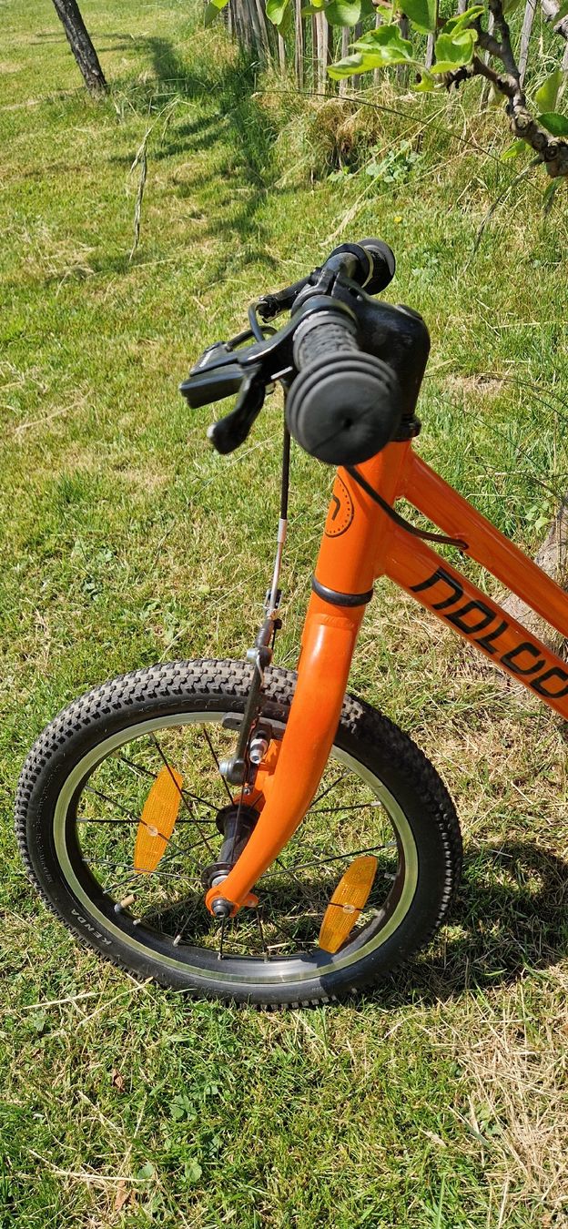 Naloo Biciclette: Naloo Chameleon 16 "  – Usato da Einsiedeln venduto da Shenayka 2