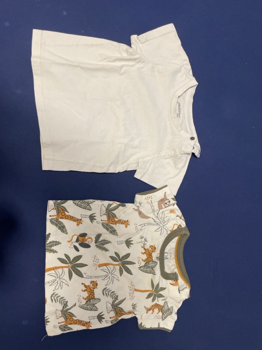 H&M Camicie, T-shirt & Polo: T-Shirt Grösse 74 Knaben – Usato da Rothenburg venduto da Lindas2003 5