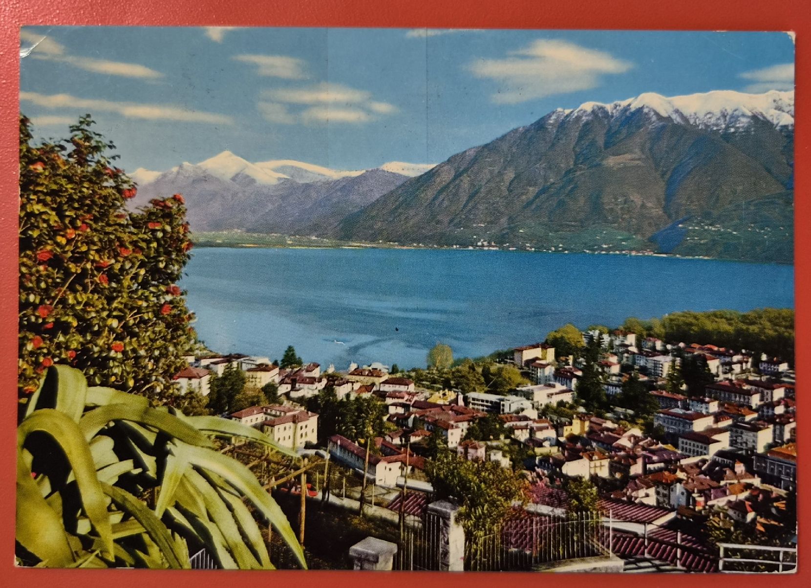 Ansichtskarten: Locarno Panorama 1981 – Gebraucht aus Melchnau von Arthurius