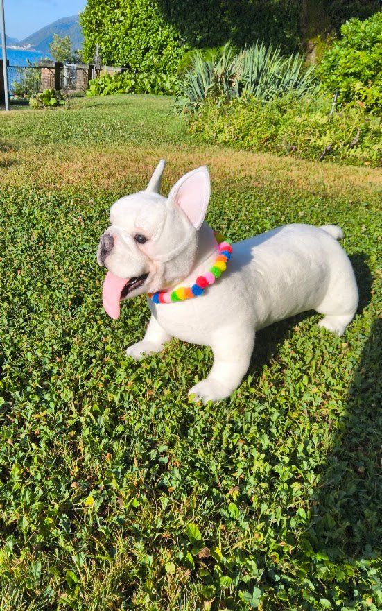Jouets: French  Bulldog  Plüsch – Neuf (Voir description) à Castagnola par Cat-WomenX 2