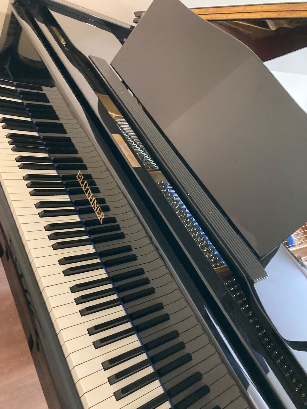 Blüthner Musikinstrumente: Flügel Blüthner – Gebraucht aus Basel von ben_kdz8 1
