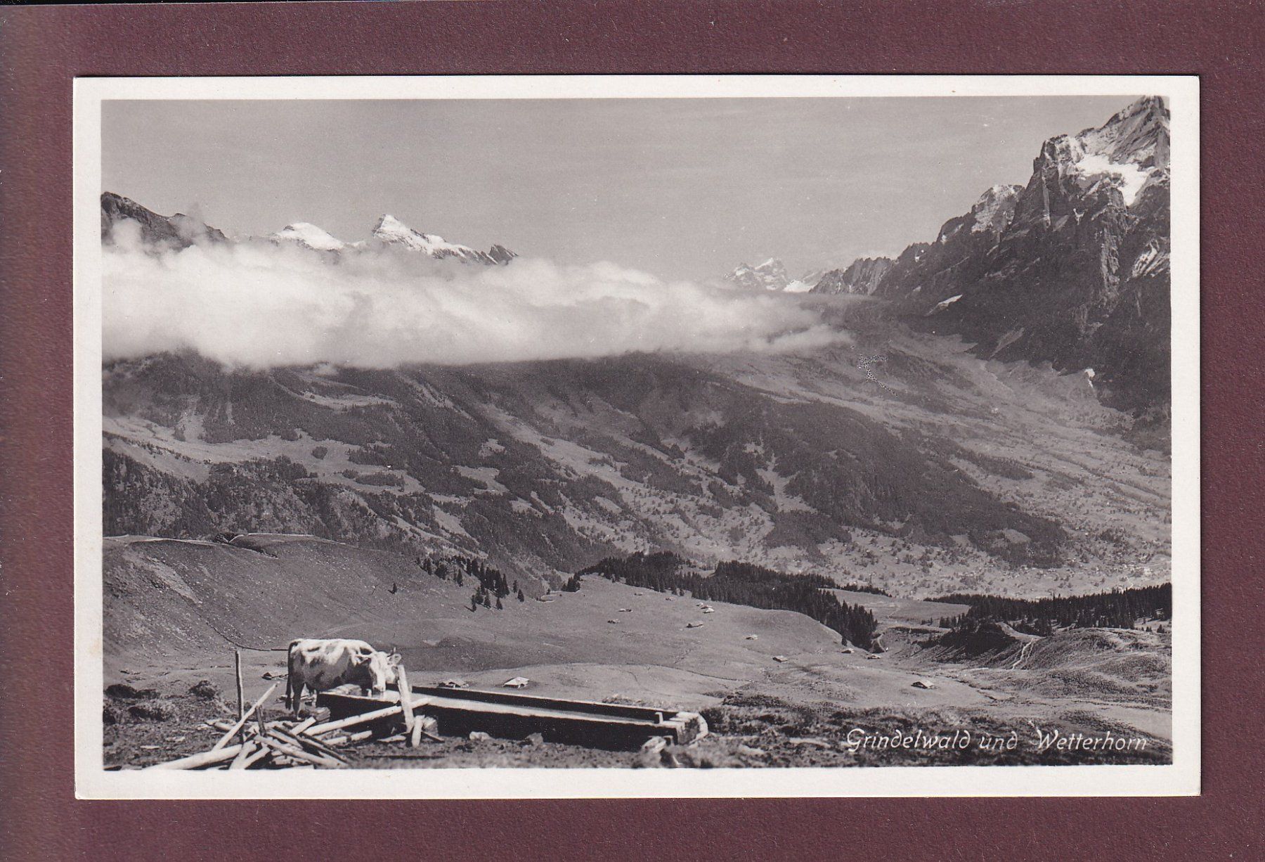 Cartoline postali: GRINDELWALD - Wetterhorn – Usato da Pully venduto da nicecards