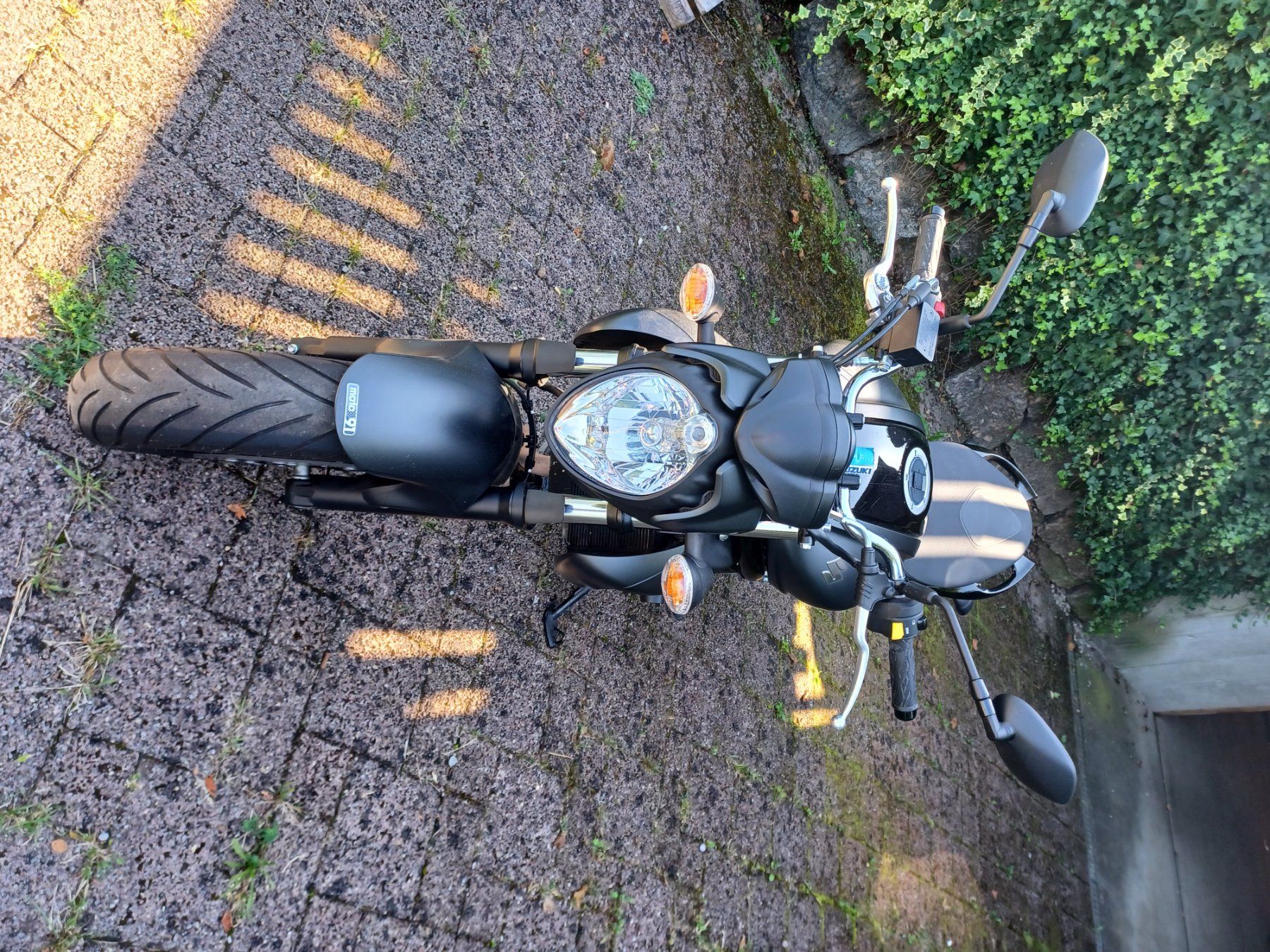 Suzuki Strada: Suzuki Gladius SFV 650A – Usato da Embrach venduto da m.pfeifer