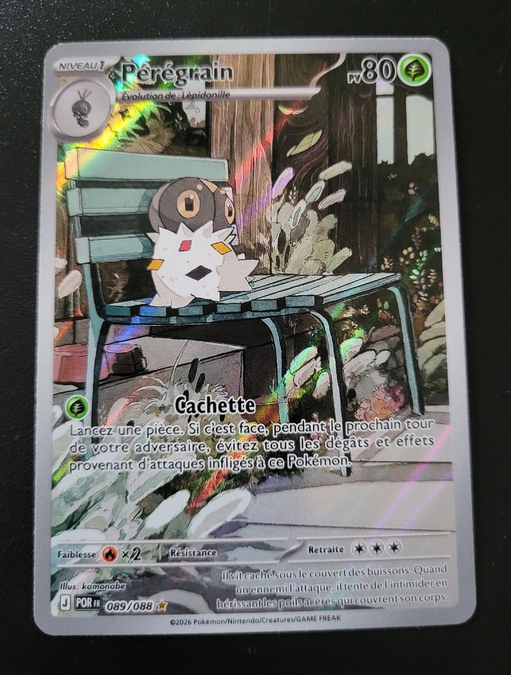 Pokémon Carte collezionabili: Peregrain Equilibre parfait FR – Nuovo (secondo la descrizione) da St-Sulpice VD venduto da cel_ysf7