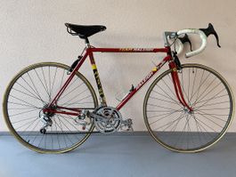 Raleigh Ti Team Bike