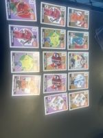 Panini FIFA World Cup Extra Sticker neu konvolut 16 Stück