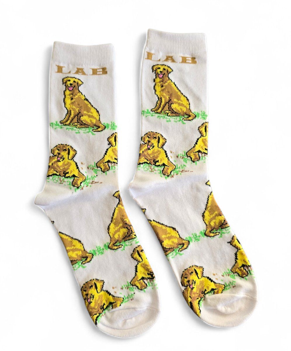 Calze: Socken Hunde/Dogs/Labrador – Nuovo e nell'imballaggio originale da Zürich venduto da amysmith