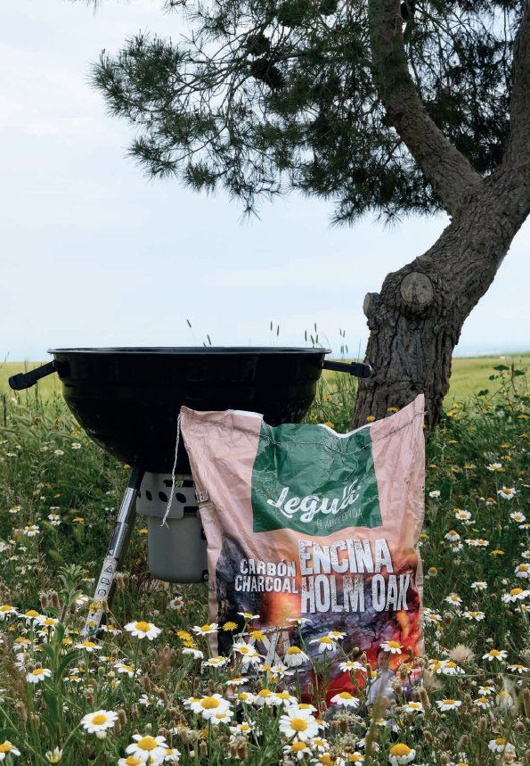 Articoli in legno: Premium Holzkohle Steineiche XXL – Nuovo e nell'imballaggio originale da Wuppenau venduto da patrick-buehler 1