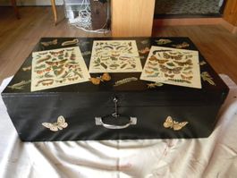 ancienne très grande valise en bois restaurée