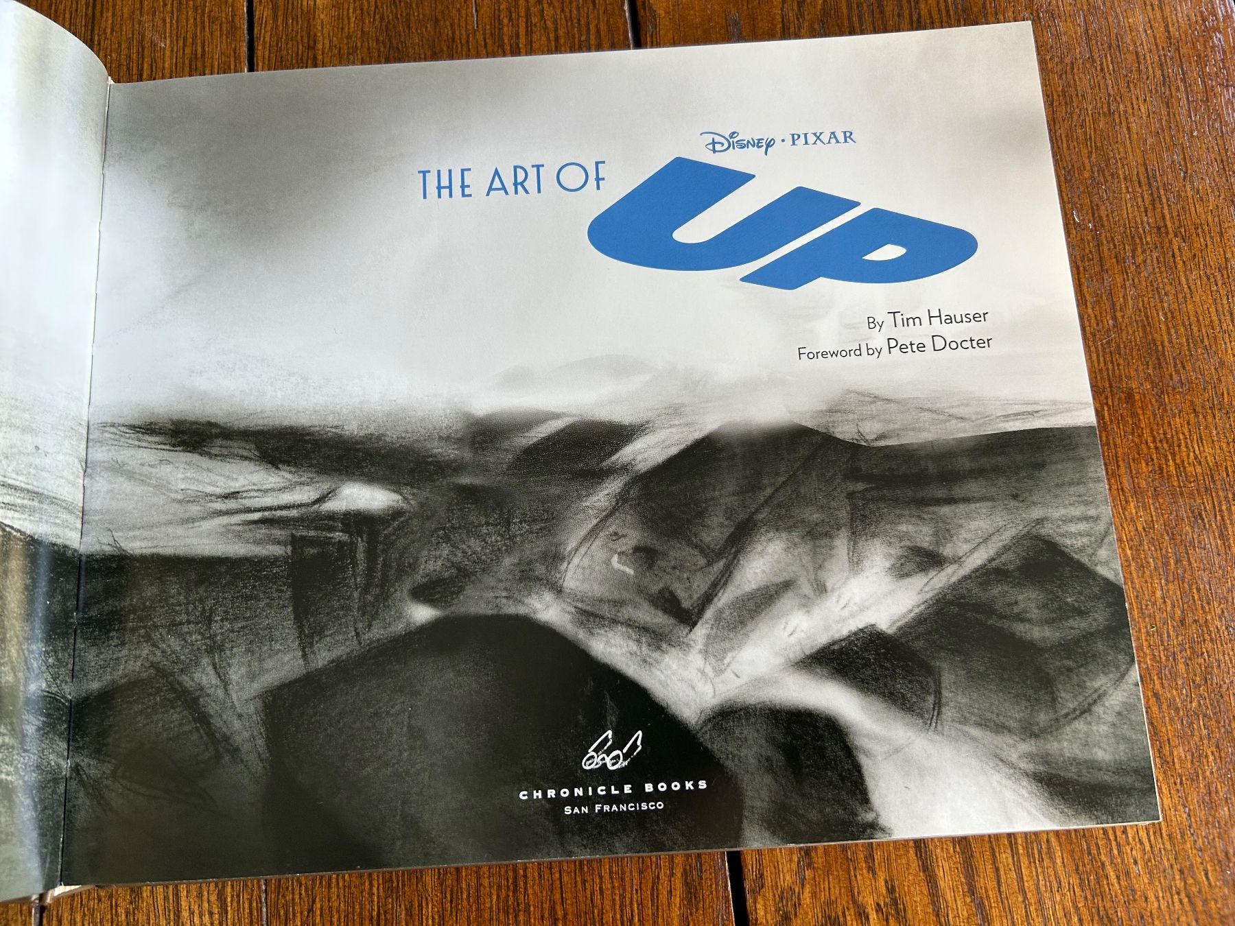 Libri: The Art of Up – Usato da Basel venduto da Peter_schlemihl 9