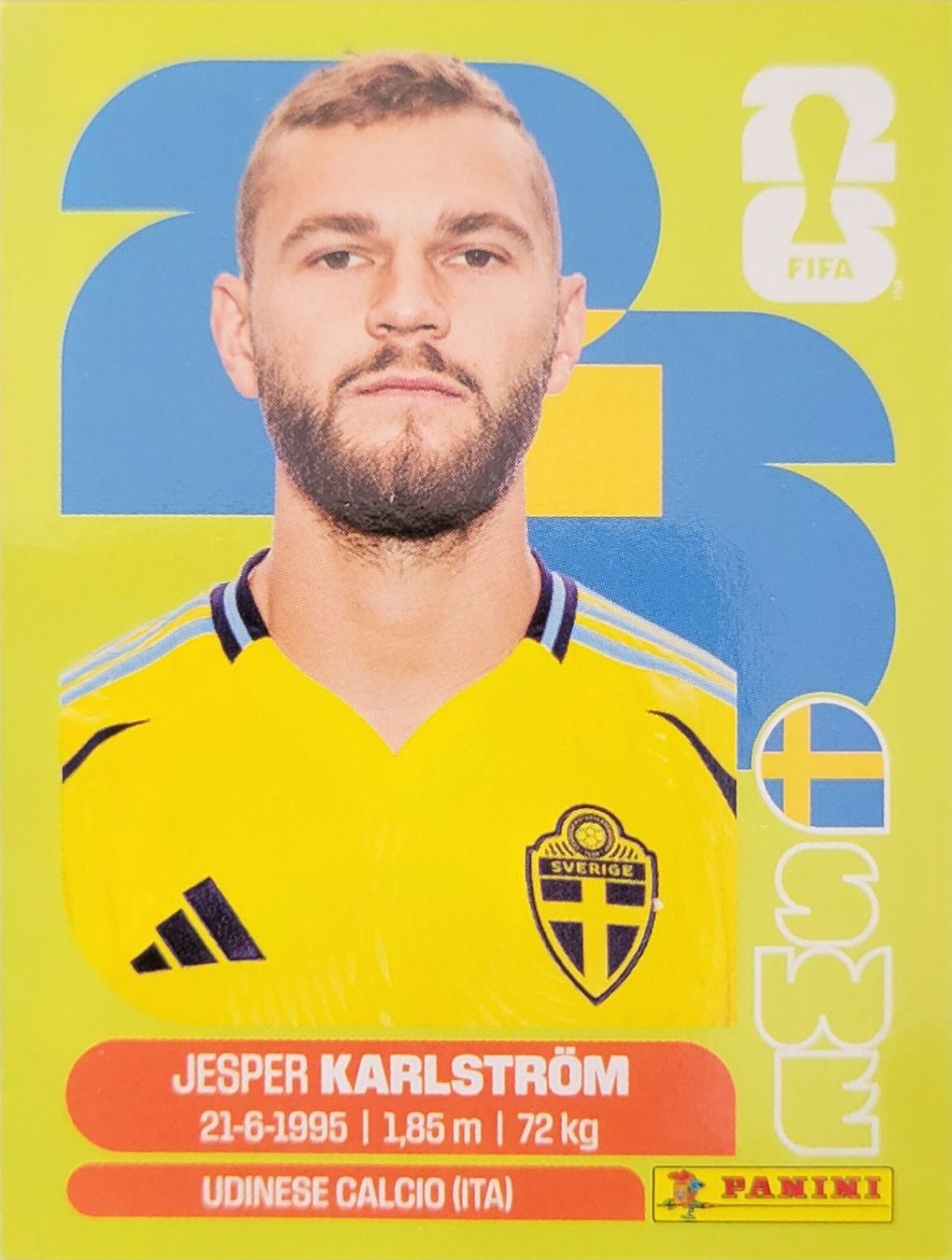 Panini Sammelbilder & Trading cards: Panini FIFA World Cup SWE 10 – Neu (gemäss Beschreibung) aus Wallisellen von never_give_up