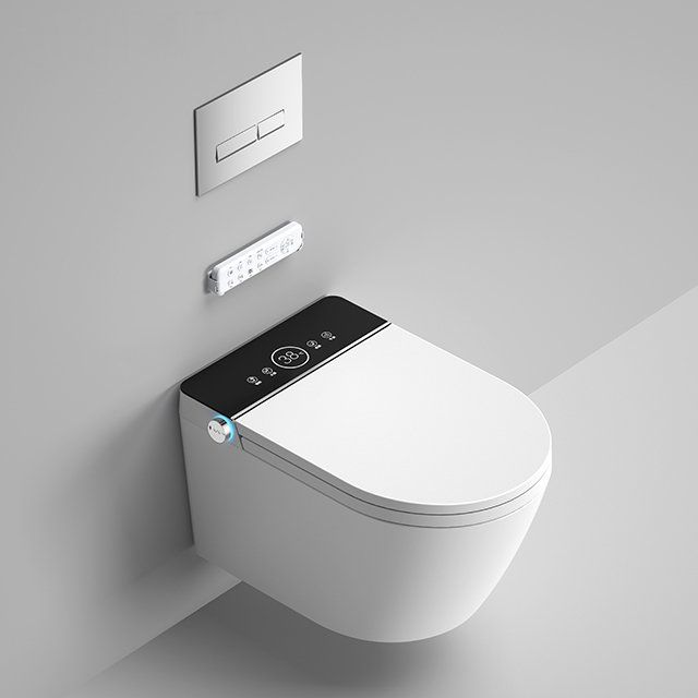 WC: Dusch WC mit vielen Funktionen inkl Wassertank – Nuovo (secondo la descrizione) da Saules BE venduto da zemco