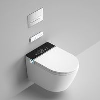 Dusch WC mit vielen Funktionen inkl Wassertank