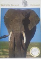 Bedrohte Tierwelt Elefanten mit 10'000 Pesos 1993 Silber 999