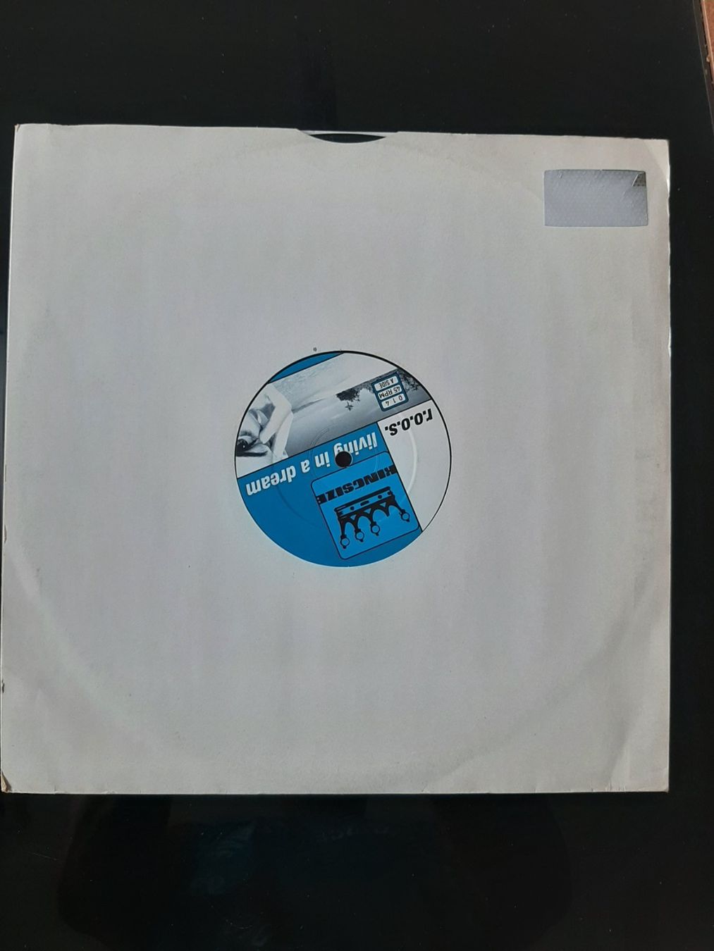 Vinyles: Maxi Single von r.o.o.s. aus 1998 – D'occasion à Kreuzlingen par Jack.Daniels 3
