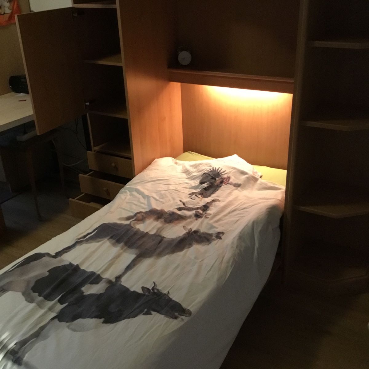 Armoires: Bettschrank inklusive Matraze – D'occasion à Zug par Roti58