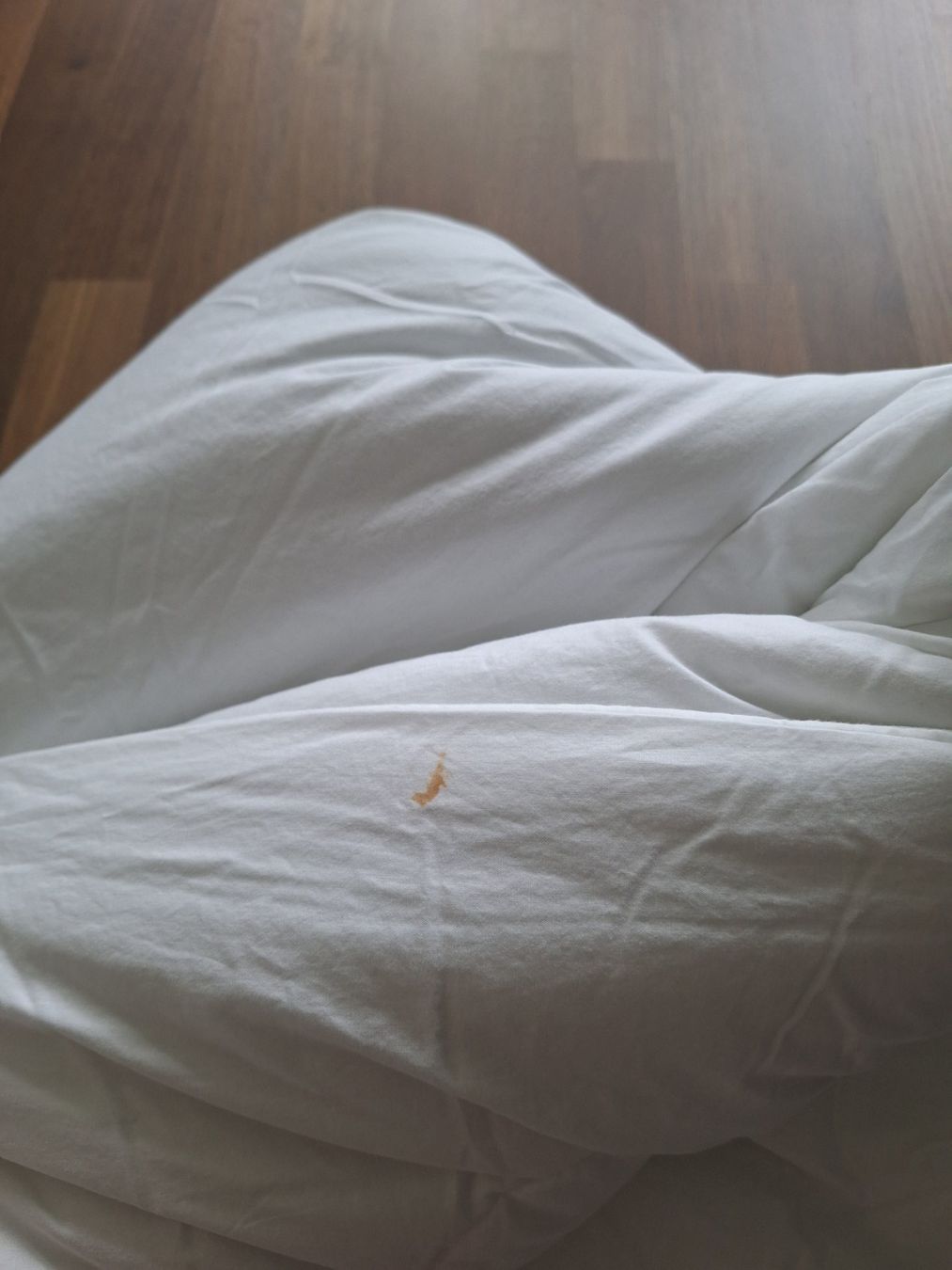 Coperte: Duvet 230 x 250 cm – Usato da Spreitenbach venduto da misi.m 2