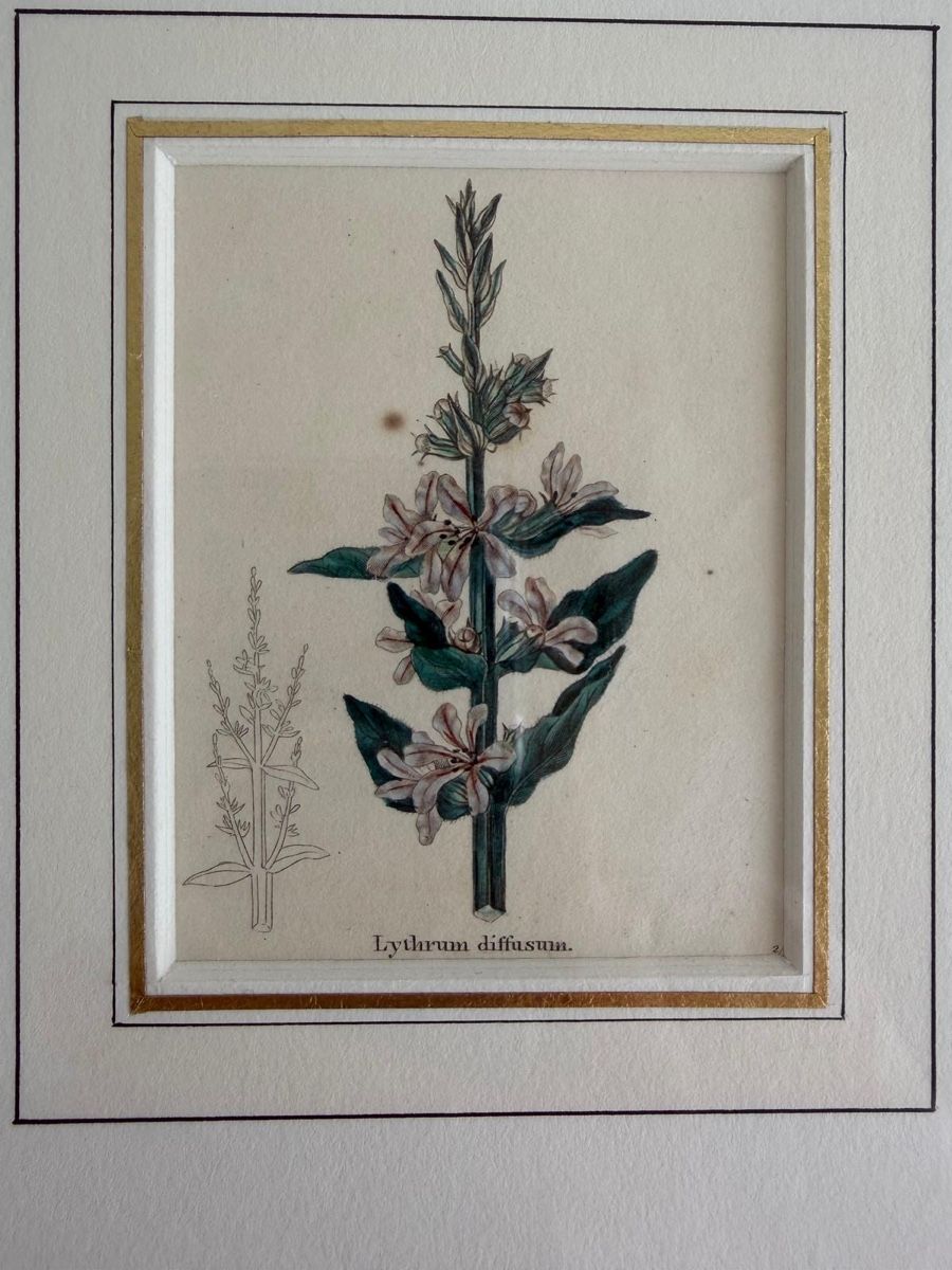 Stiche: 4 Stahlstiche ca. 1830 – Gebraucht aus Düdingen von shoppingUA 1