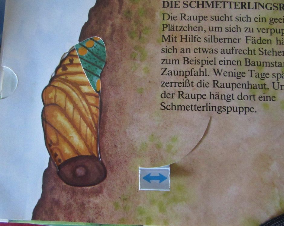 Pop Up Buch " Schmetterling " Kaufen auf Ricardo