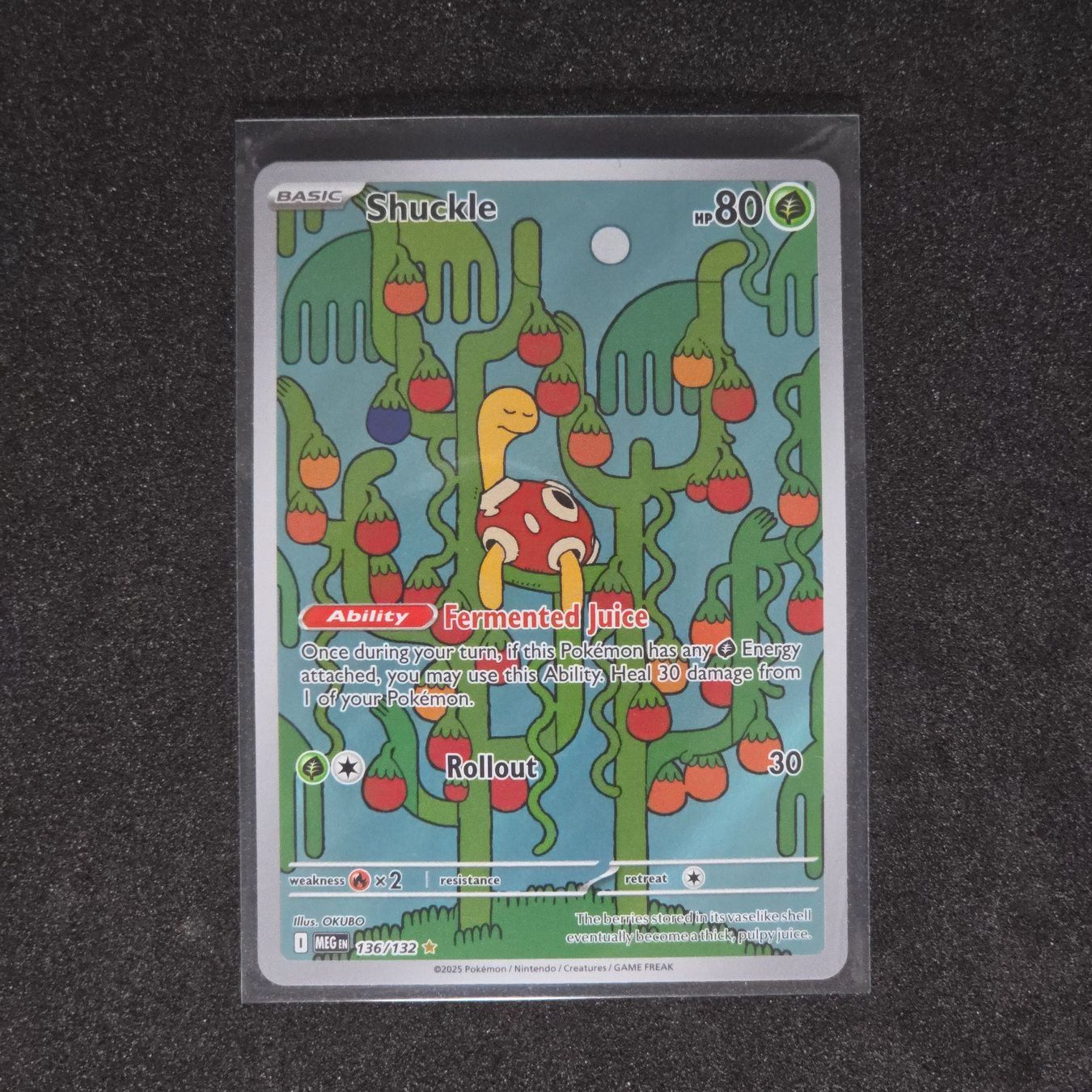 Pokémon Carte collezionabili: Shuckle - MEG-136 – Usato da St. Gallen venduto da CardZelo