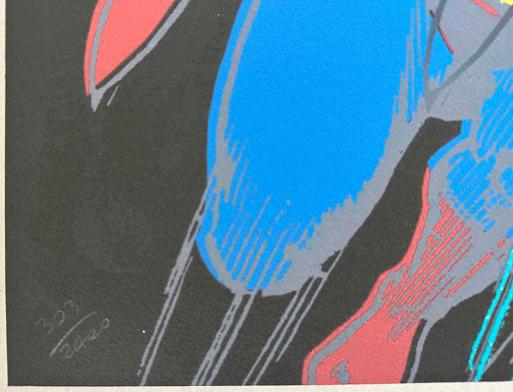 Foto & Immagini: Andy Warhol: Superman, POP Art 303/2400 – Nuovo (secondo la descrizione) da Meilen venduto da Smgdesign 1